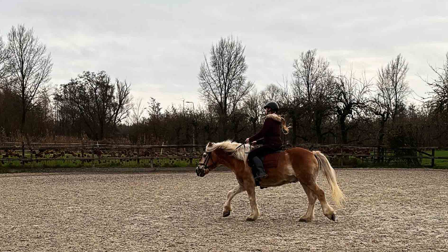 sfeerimpressie PaardEnKracht